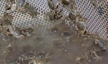 点击浏览下一页